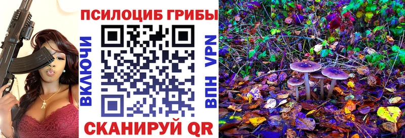 KRAKEN вход  Гремячинск  Галлюциногенные грибы Cubensis 